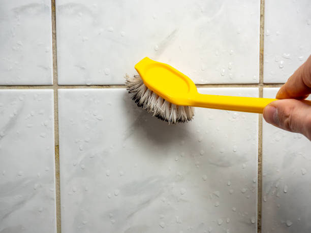 Best Home Mold Removal  in Balcones Heights, TX