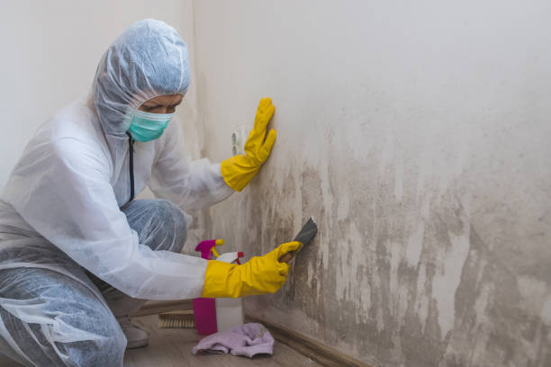 Water Damage Restoration in Balcones Heights, TX